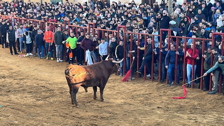 Fiesta de San Sebastián en Paredes de Nava - Encuentro de Coches Clásicos y Festejos Taurinos