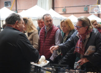 Feria de las Candelas en Saldaña 2024 setas micología micoturismo