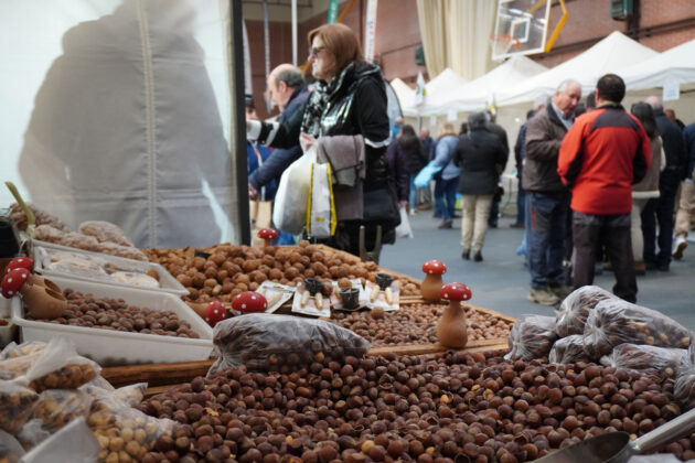 Feria de las Candelas en Saldaña 2024 - avellanas frutos secos