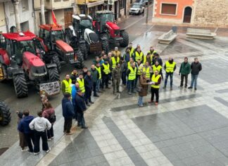 Manifestación por los derechos agrícolas y ganaderos en Baltanás