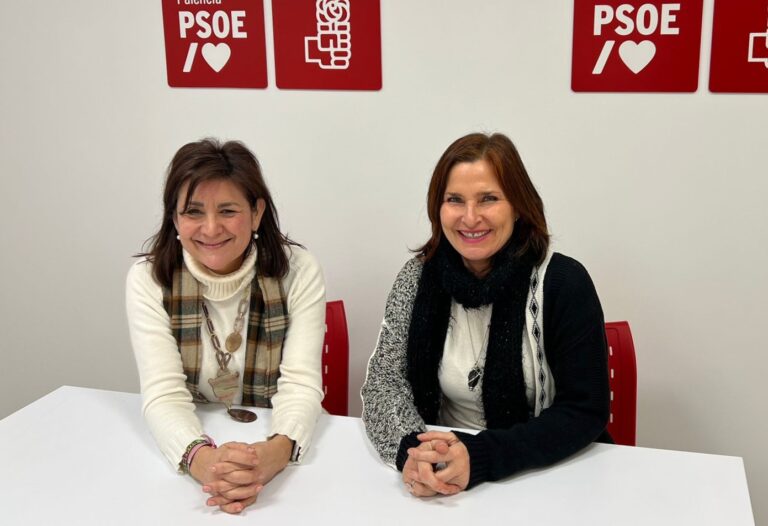 Parlamentarias PSOE