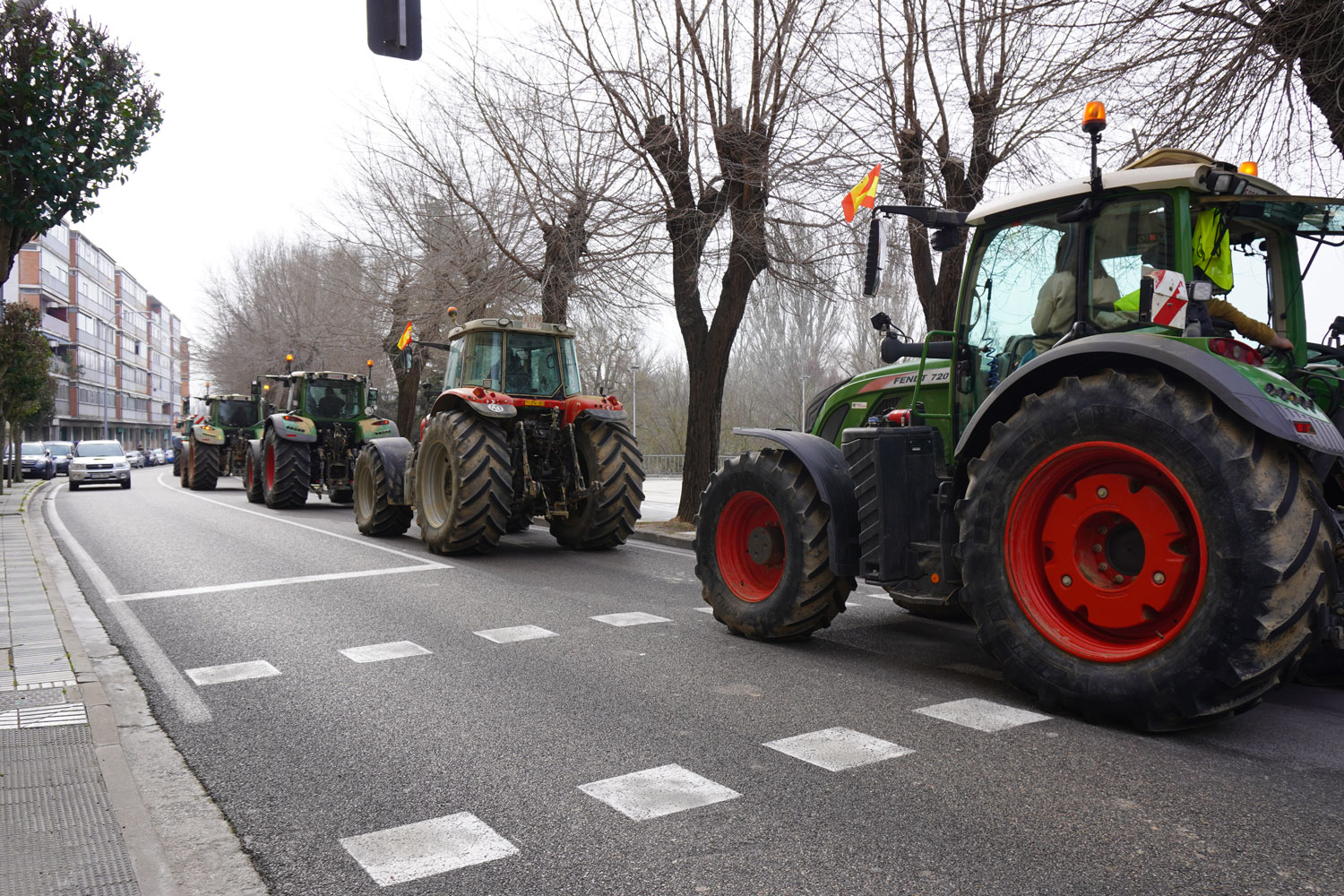 tractorada palencia protestas huelga agricultores manifestación ganaderos febrero 2024