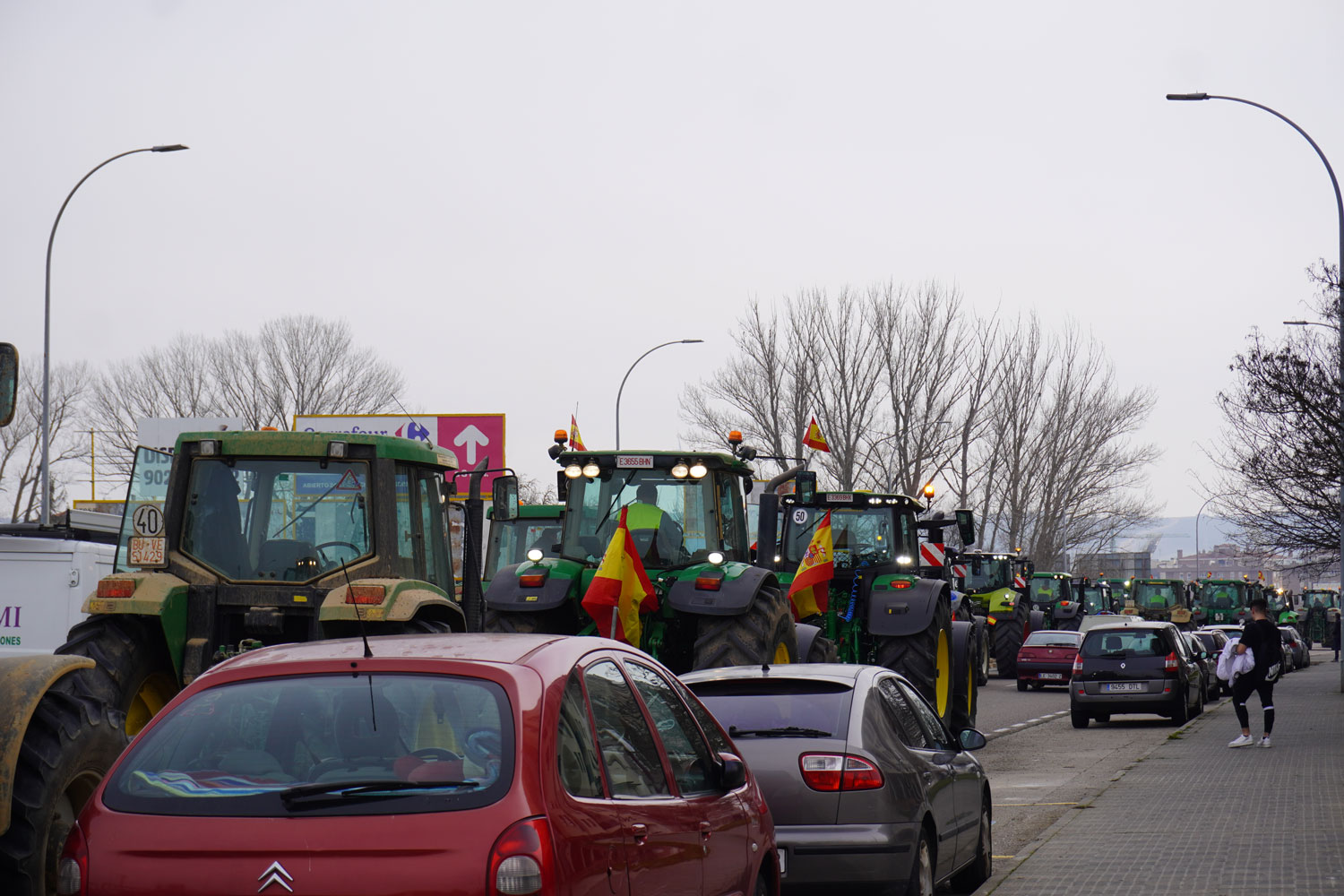 tractorada palencia protestas huelga agricultores manifestación ganaderos febrero 2024