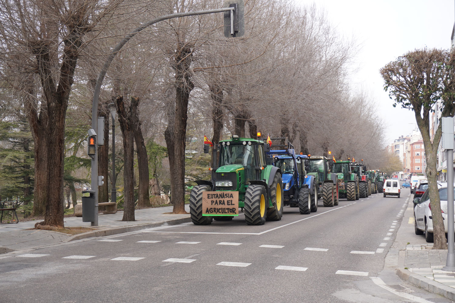 tractorada palencia protestas huelga agricultores manifestación ganaderos febrero 2024