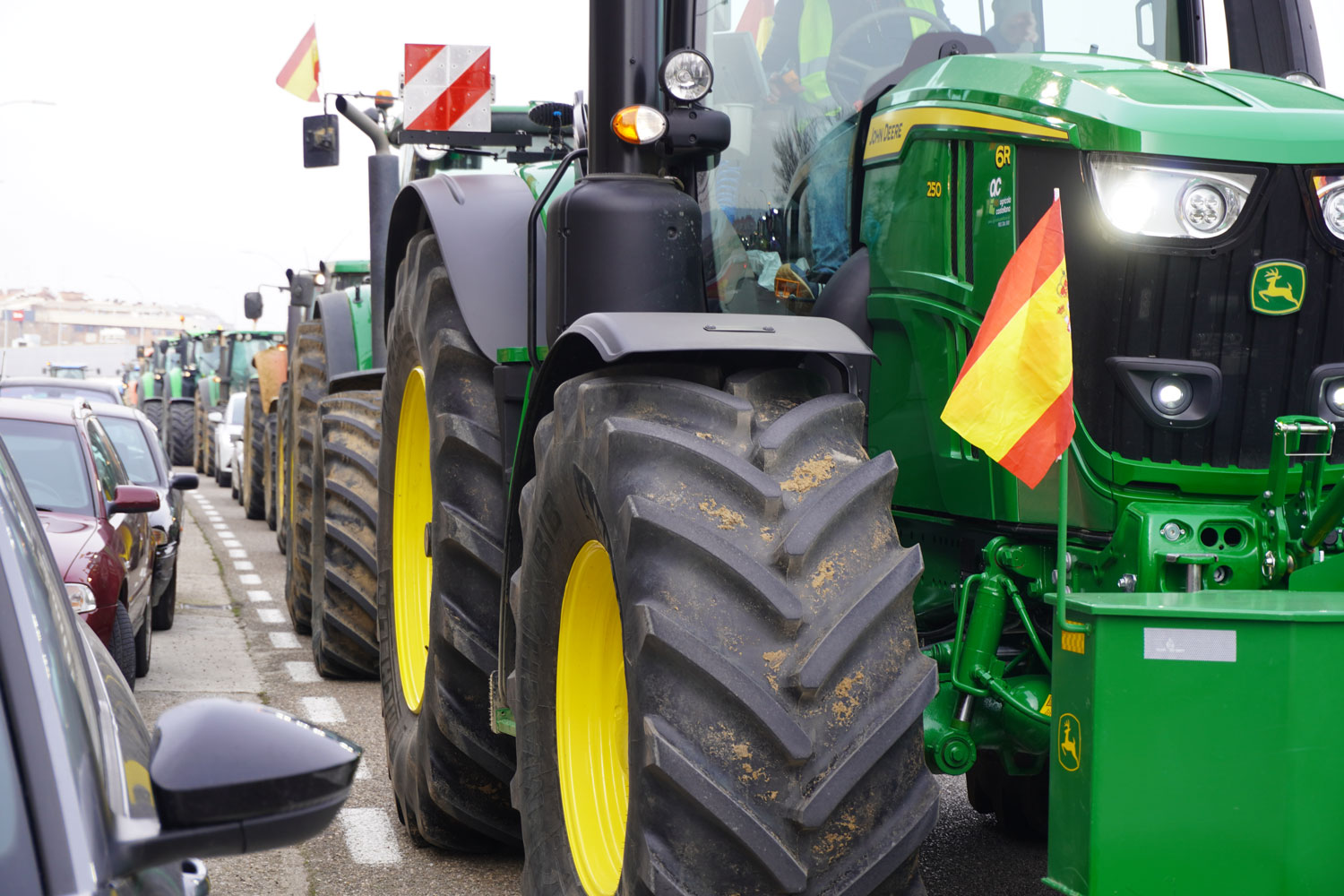 tractorada palencia protestas huelga agricultores manifestación ganaderos febrero 2024