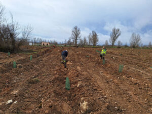 35 AFF PROYECTO DUEÑAS COMPENSACIÓN HUELLA DE CARBONO