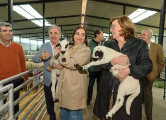 La alcaldesa de Palencia, Miriam Andrés y la presidenta de la Diputación, Ángeles Armisén, sostienen un ejemplar de oveja churra / Diputación de Palencia