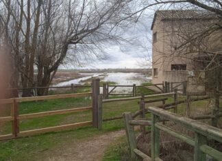 fuentes de nava
