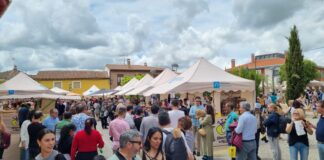 Feria del pan Grijota (16)