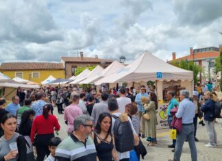 Feria del pan Grijota (16)