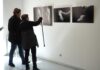 Exposición 'Emociones cercanas. Más allá de las apariencias', organizada por Cocemfe CyL con fotos de Ismael Suárez en el Centro Cultural Lecrác - A. Acitores