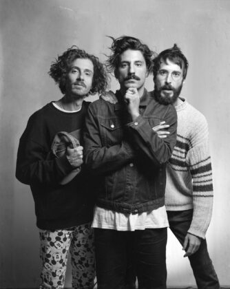 Sexy ´Zebras