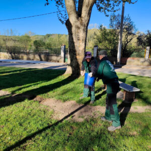 programa mixto jardines saldaña