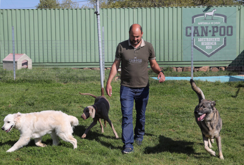 Centro canino Can-poo que funciona como guardería para que los dueños dejen a sus mascotas alojadas mientras se van de vacaciones, en la imagen el dueño del centro, Miguel Ángel Barcenilla, con alguno perros alojados en el centro
