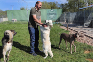 Centro canino Can-poo que funciona como guardería para que los dueños dejen a sus mascotas alojadas mientras se van de vacaciones, en la imagen el dueño del centro, Miguel Ángel Barcenilla, con alguno perros alojados en el centro./ Brágimo (ICAL)