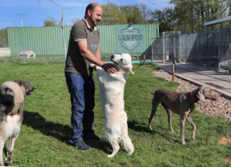 Centro canino Can-poo que funciona como guardería para que los dueños dejen a sus mascotas alojadas mientras se van de vacaciones, en la imagen el dueño del centro, Miguel Ángel Barcenilla, con alguno perros alojados en el centro./ Brágimo (ICAL)