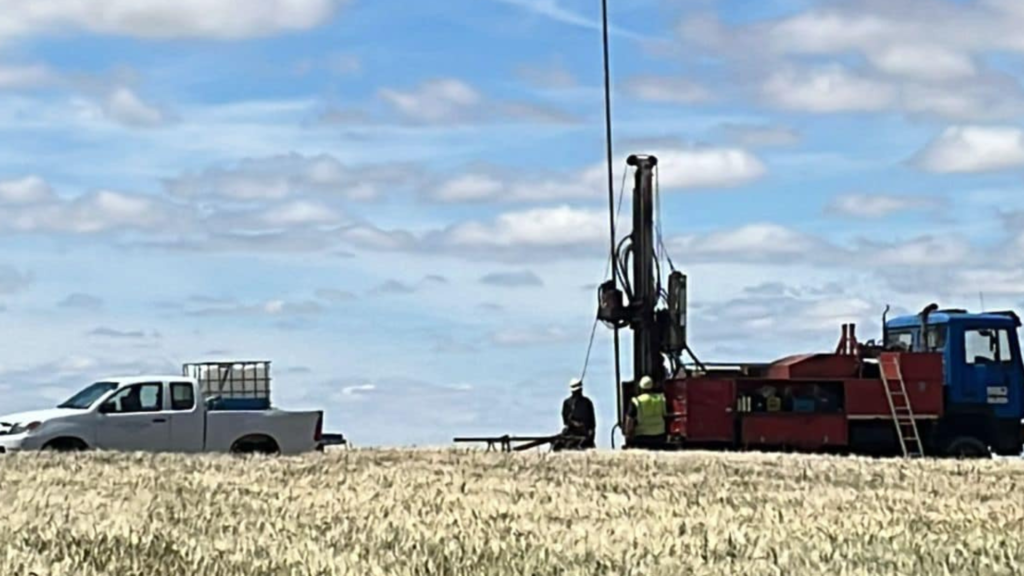 Iberóleo Paredes inicia la construcción de su planta de aceite en Paredes de Nava