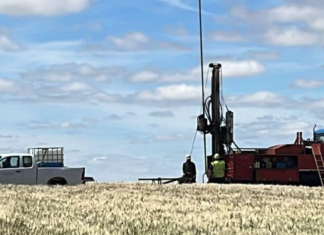 Iberóleo Paredes inicia la construcción de su planta de aceite en Paredes de Nava