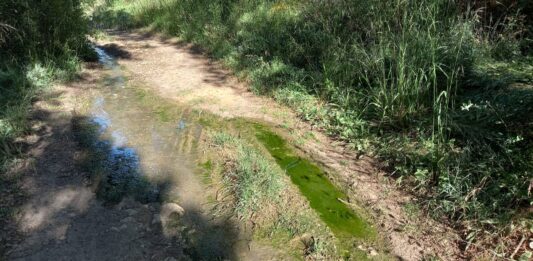 Vertido en el Monte el Viejo