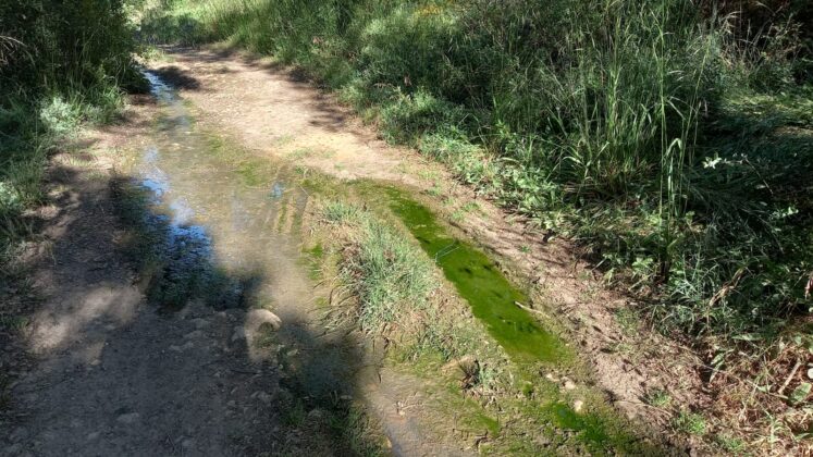 Vertido en el Monte el Viejo