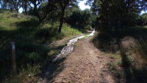 Vertido en el Monte el Viejo