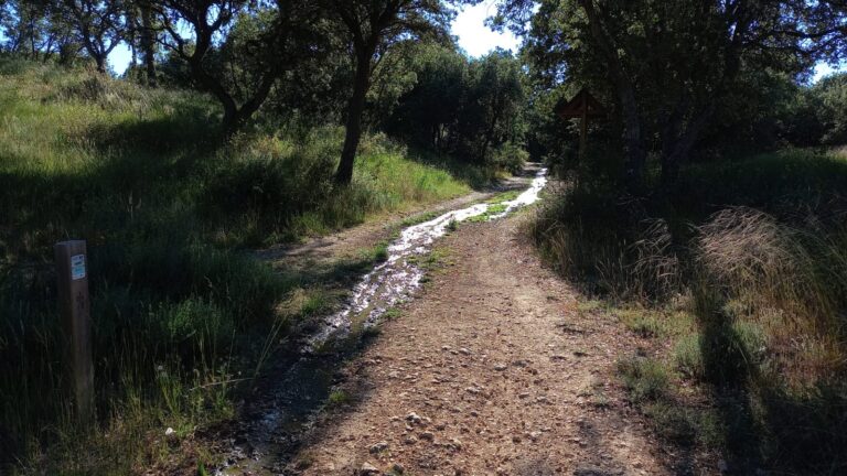 Vertido en el Monte el Viejo