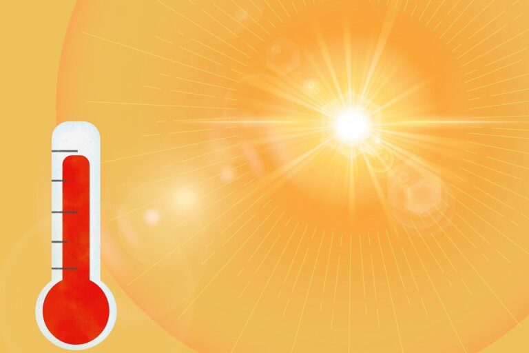 Ola de calor