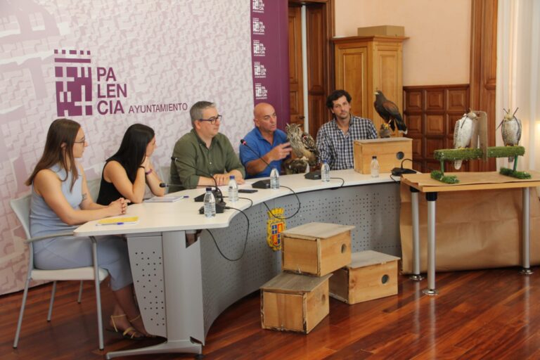 Presentación de medidas contra la densidad de las palomas