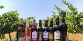 bodegas valdesneros