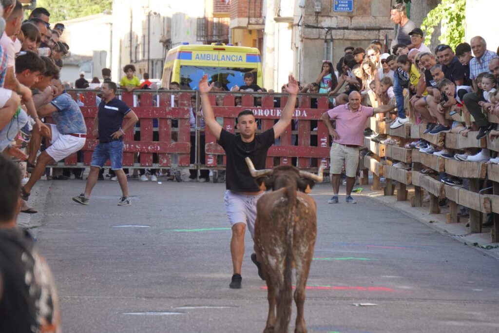 Encierros tradicionales en Torquemada - Agosto 2024