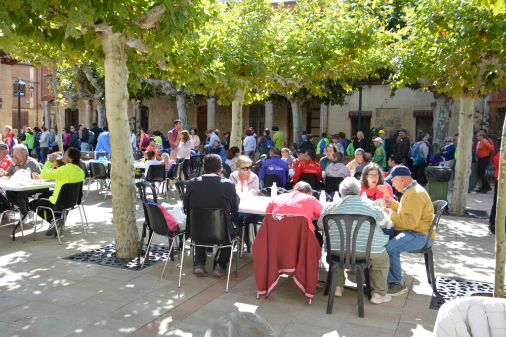 Más de 600 personas participan en la XV Marcha Inclusiva del Grupo Fundación San Cebrián