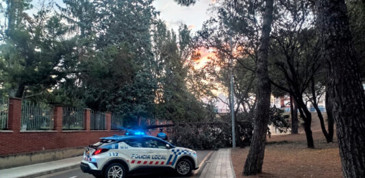 Un gran árbol se desploma sobre la calle Padre Claret