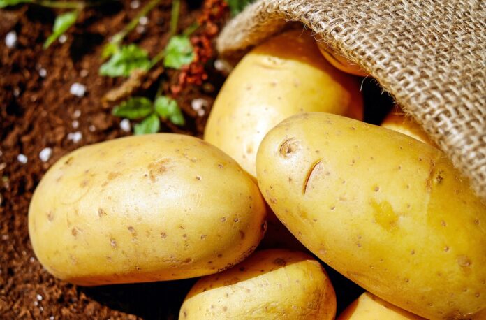 Imagen de archivo de patatas