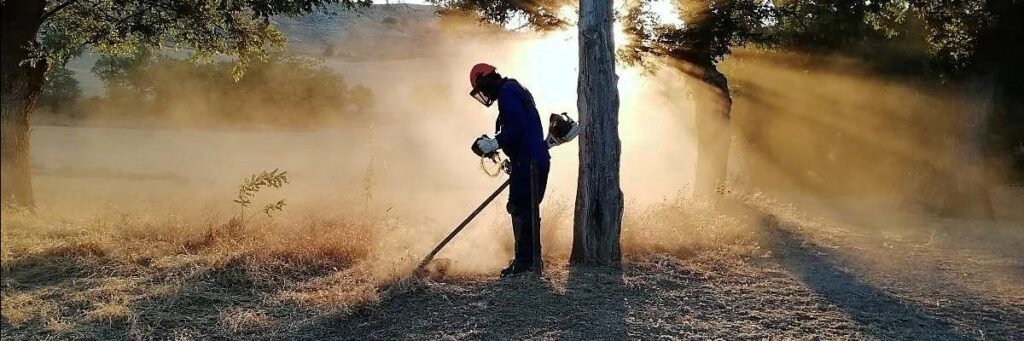 Una persona contratada por Diputación para labores forestales en campañas anteriores.