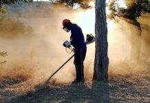 Una persona contratada por Diputación para labores forestales en campañas anteriores.