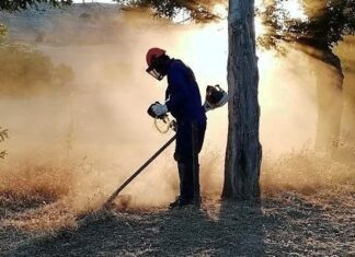 Una persona contratada por Diputación para labores forestales en campañas anteriores.