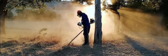 Una persona contratada por Diputación para labores forestales en campañas anteriores.