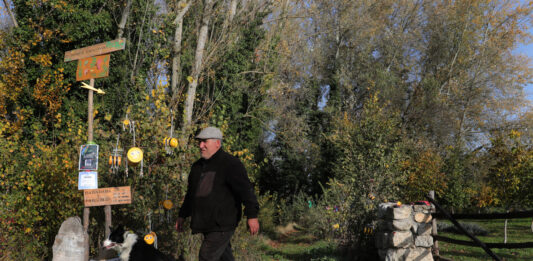 Brágimo - Un proyecto de puesta en valor de su arbolado nacido de una iniciativa vecinal de las localidades palentinas de Valoria del Alcor y Ampudia participa en un concurso del Ministerio de Medioambiente y Transición Ecológica