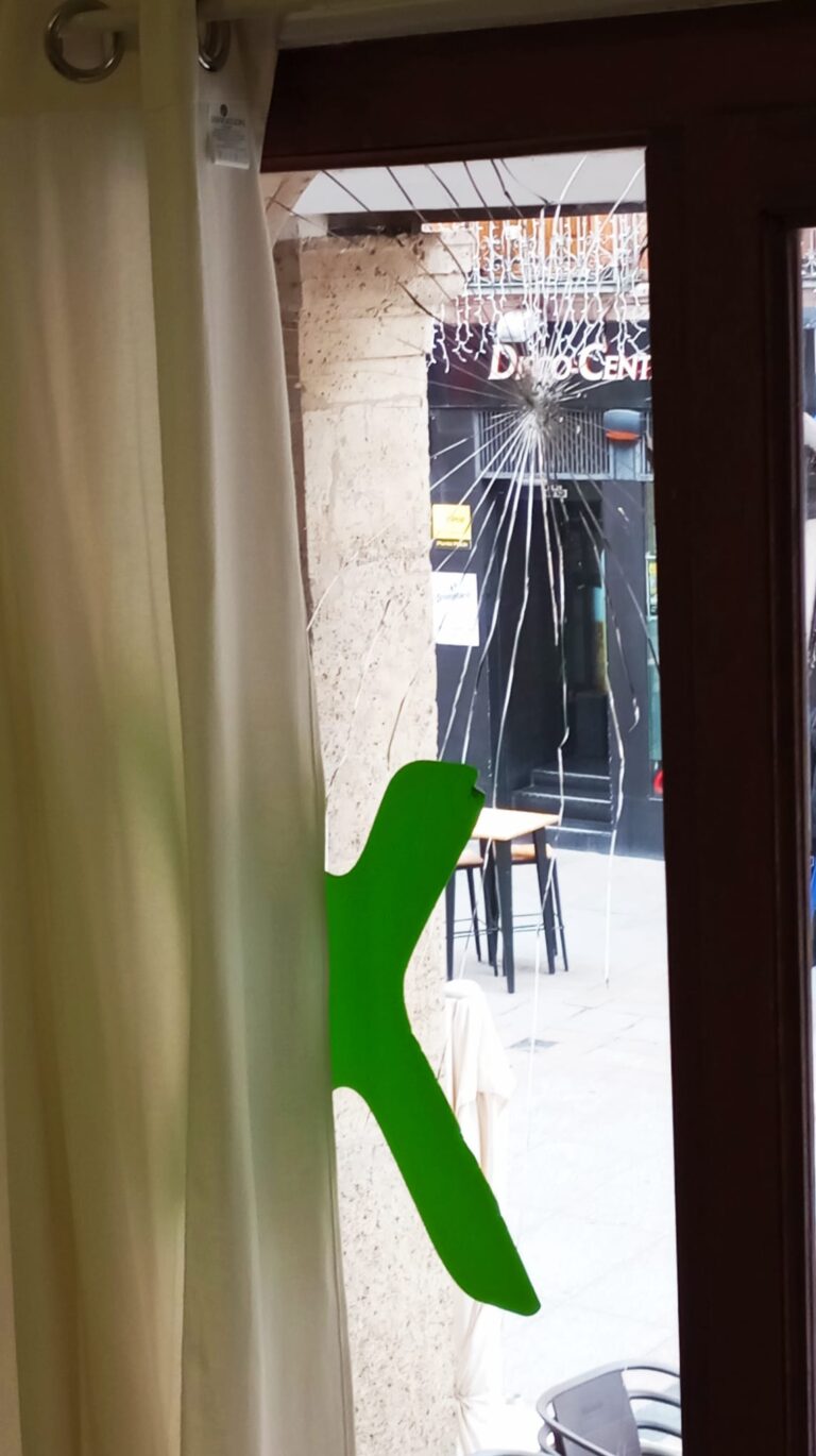 Imagen proporcionada por VOX Palencia