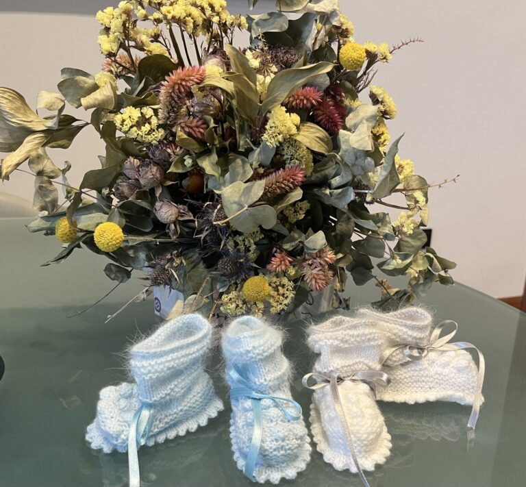 Ayudas a la natalidad por parte de la Diputación de Palencia