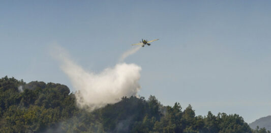 Incendio entre las localidades de Tremor de Abajo y Almagarinos (León)
