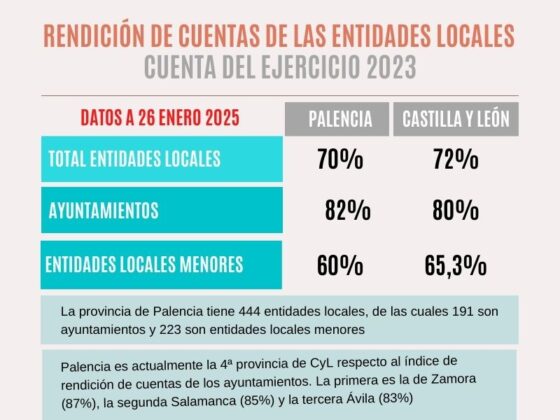 Consejo de cuentas. Diputación de Palencia