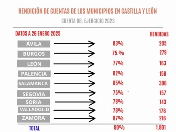 Consejo de cuentas. Diputación de Palencia