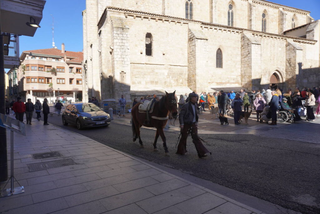 Bendición de los animales cpn motivo de San Antón Abad, en la iglesia de San Miguel