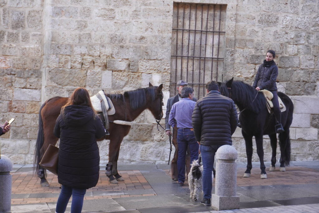 Bendición de los animales cpn motivo de San Antón Abad, en la iglesia de San Miguel