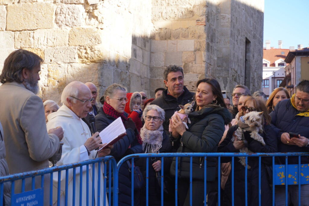 Bendición de los animales cpn motivo de San Antón Abad, en la iglesia de San Miguel