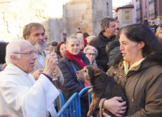 Bendición de los animales cpn motivo de San Antón Abad, en la iglesia de San Miguel