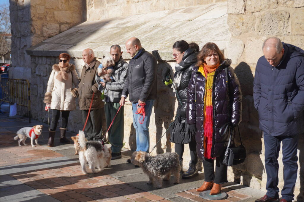 Bendición de los animales cpn motivo de San Antón Abad, en la iglesia de San Miguel