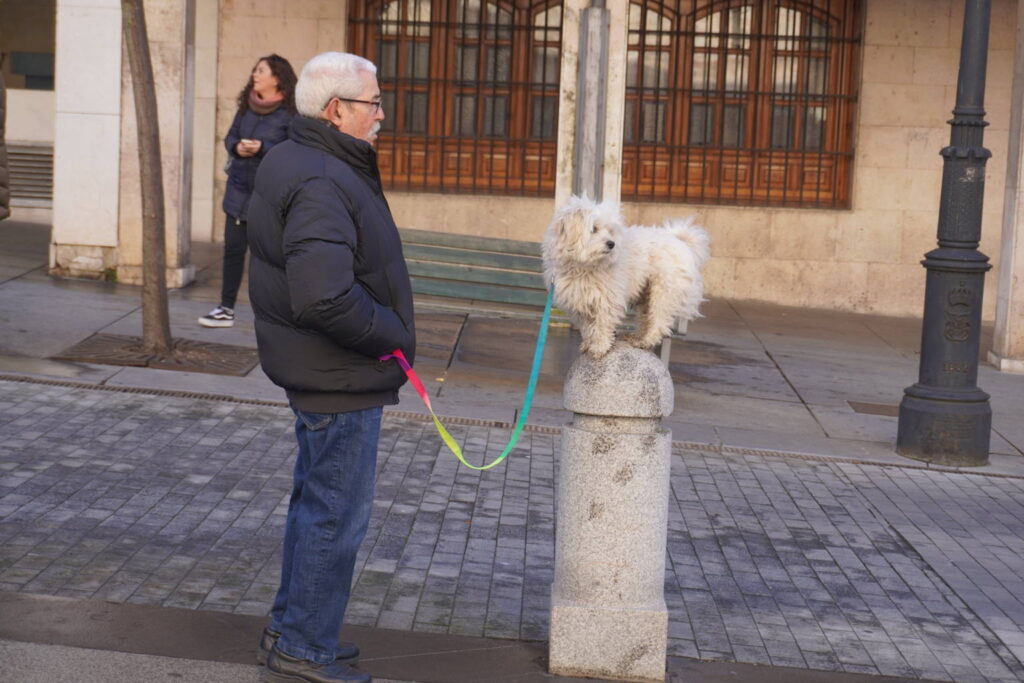 Bendición de los animales cpn motivo de San Antón Abad, en la iglesia de San Miguel
