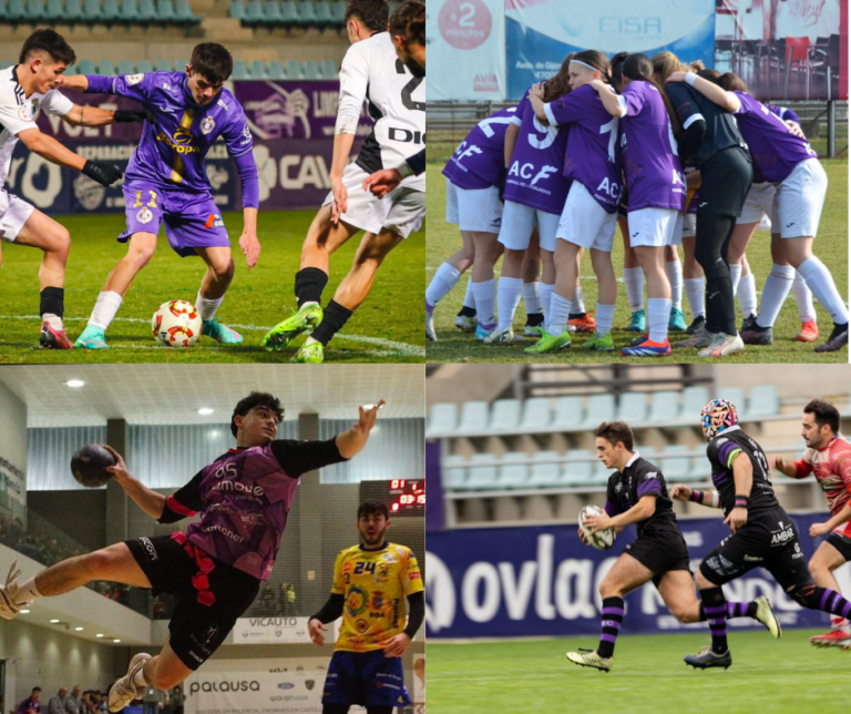 CD Palencia Cristo Atlético, Palencia Fútbol Femenino, Balopal y Palencia Rugby Club